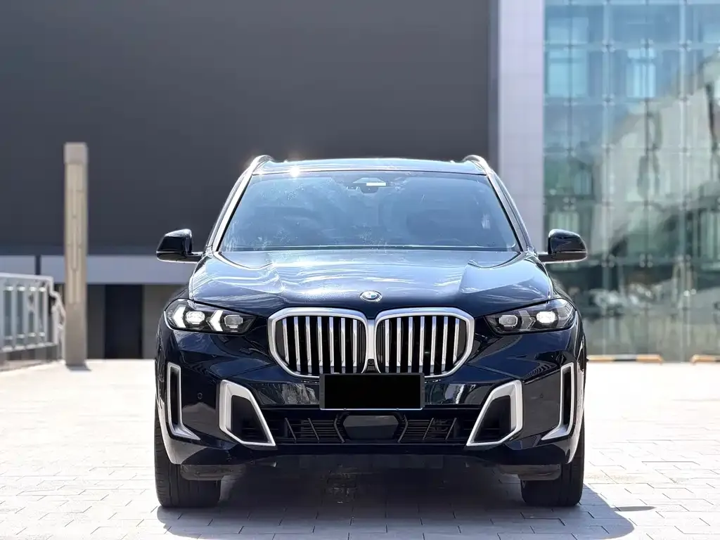BMW X5 2024 из CN, фото 2