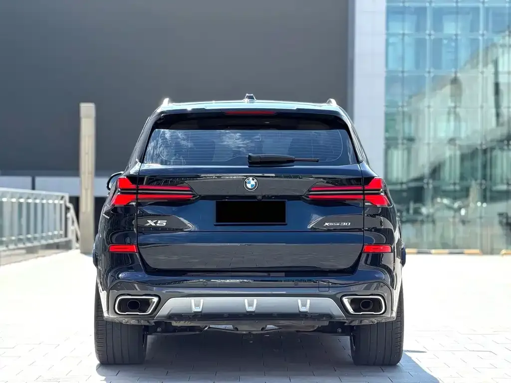 BMW X5 2024 из CN, фото 9