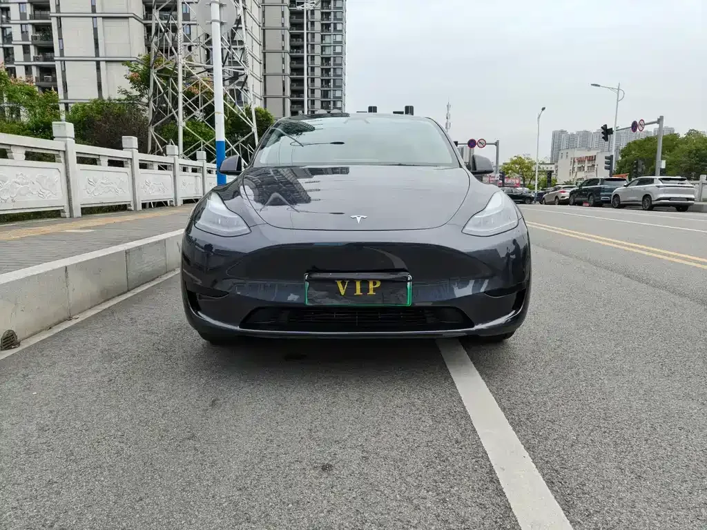 Tesla Model Y — фото 2