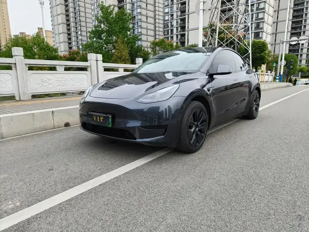 Tesla Model Y — фото 3
