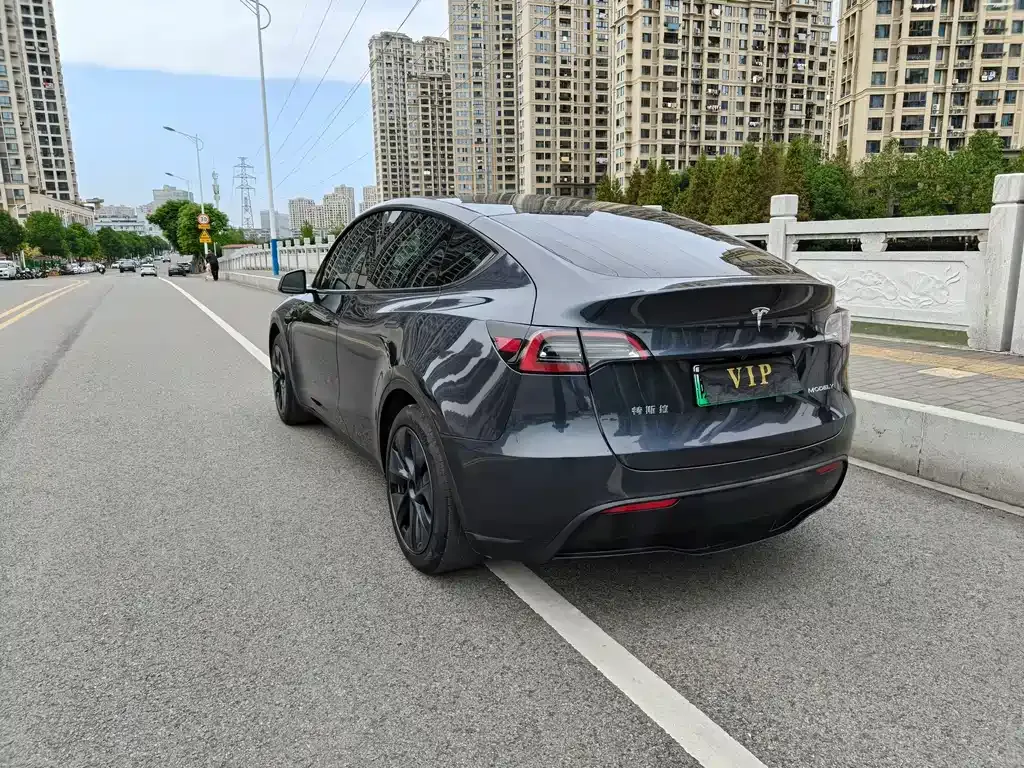 Tesla Model Y — фото 8