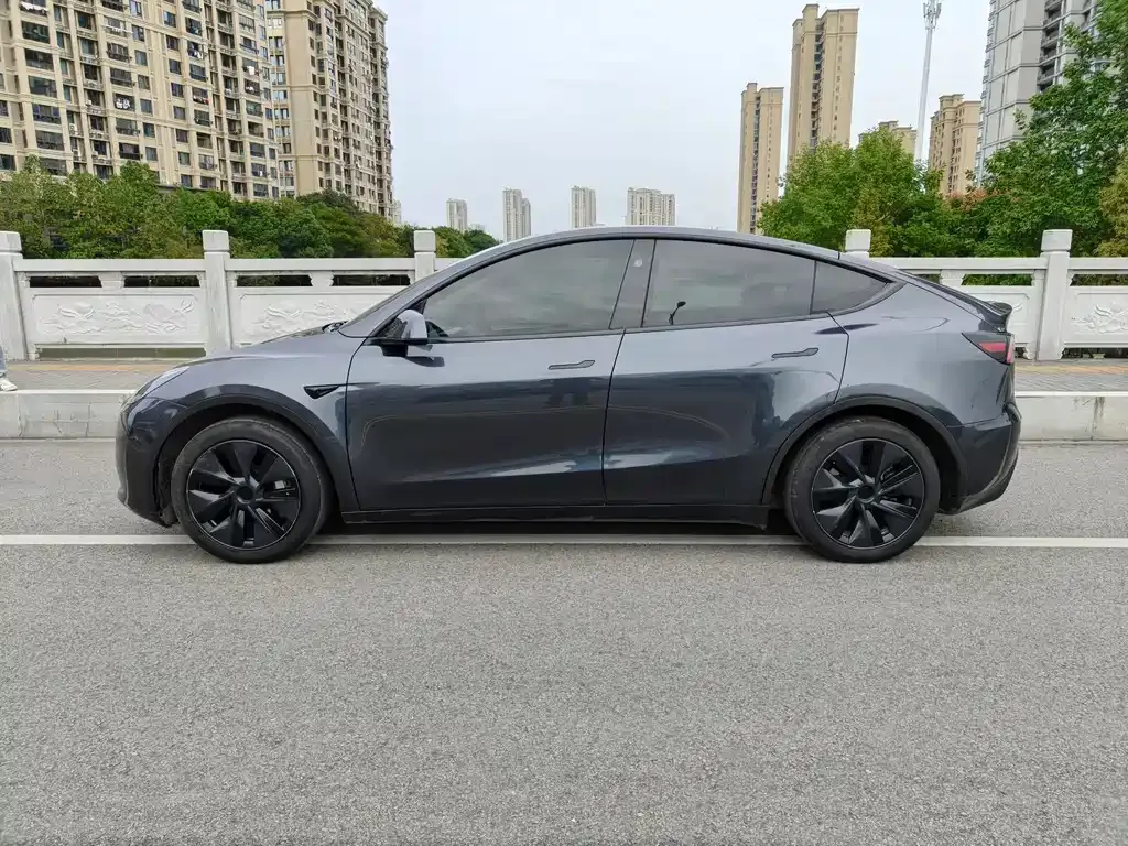 Tesla Model Y — фото 9