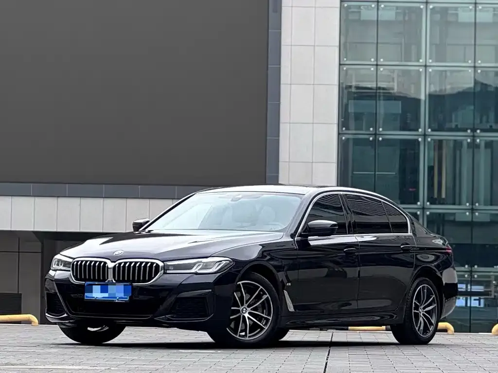 BMW 5 Series 2023 из CN, фото 1