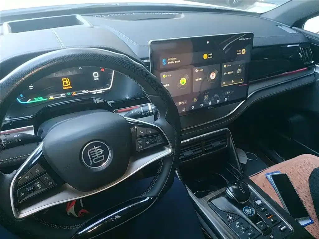 BYD Tang New Energy 2023 из CN, фото 10