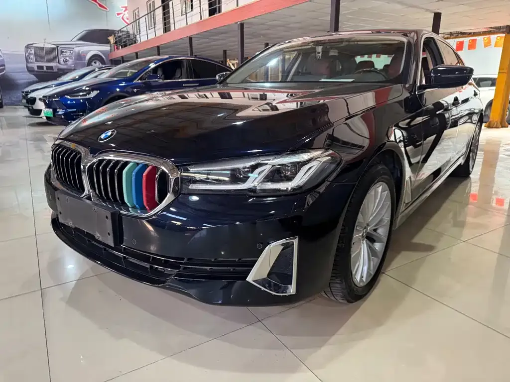 BMW 5 Series 2021 из CN, фото 1