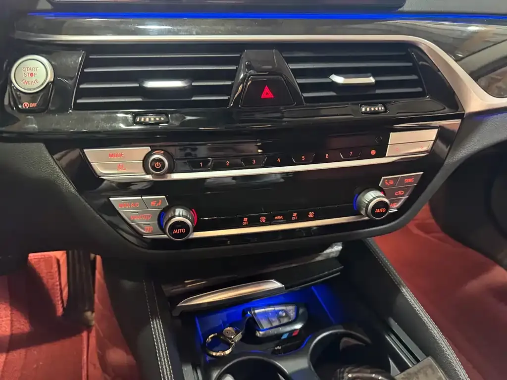 BMW 5 Series 2021 из CN, фото 10