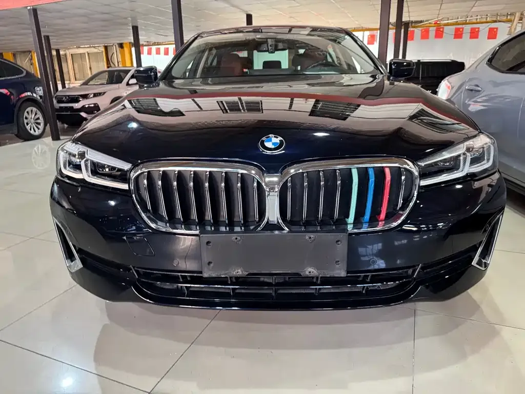 BMW 5 Series 2021 из CN, фото 2