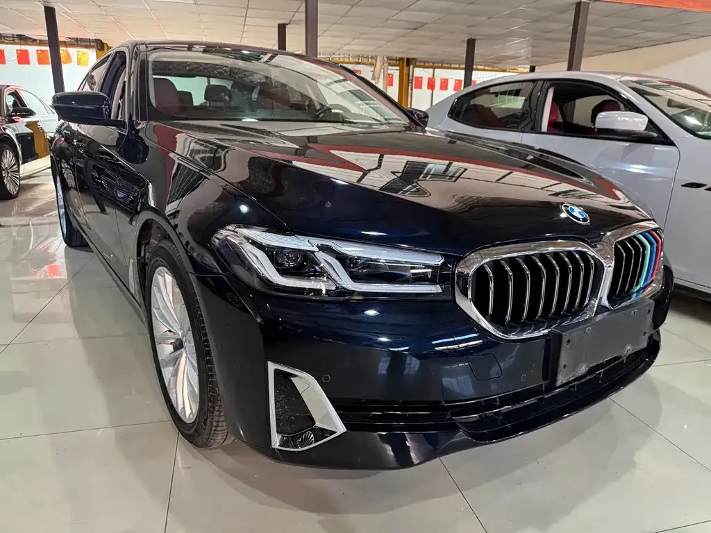 BMW 5 Series 2021 из CN, фото 3