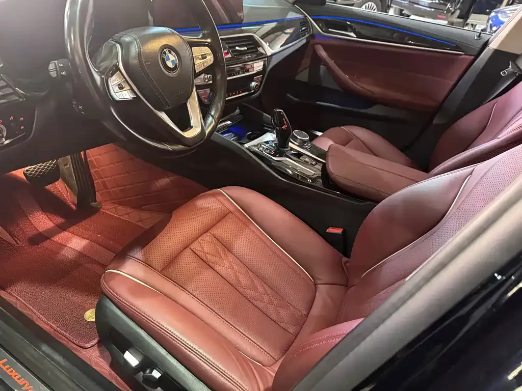 BMW 5 Series 2021 из CN, фото 4