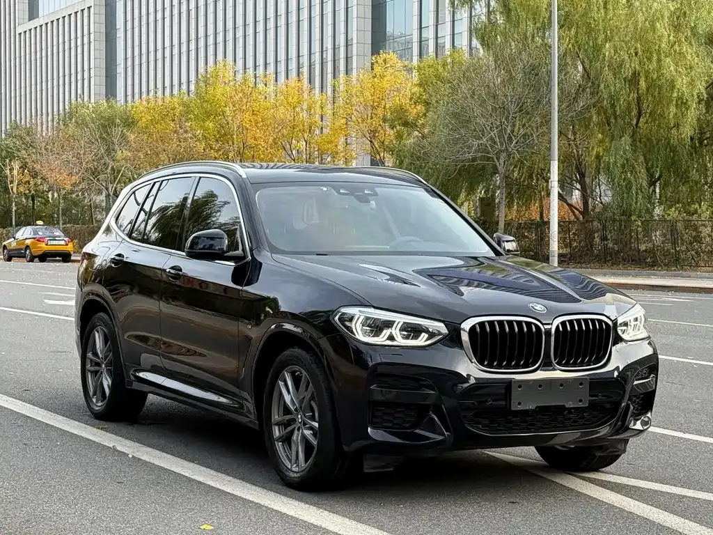 BMW X3 2021 из CN, фото 2