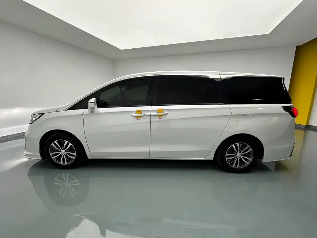 Buick GL8 2021 из CN, фото 7