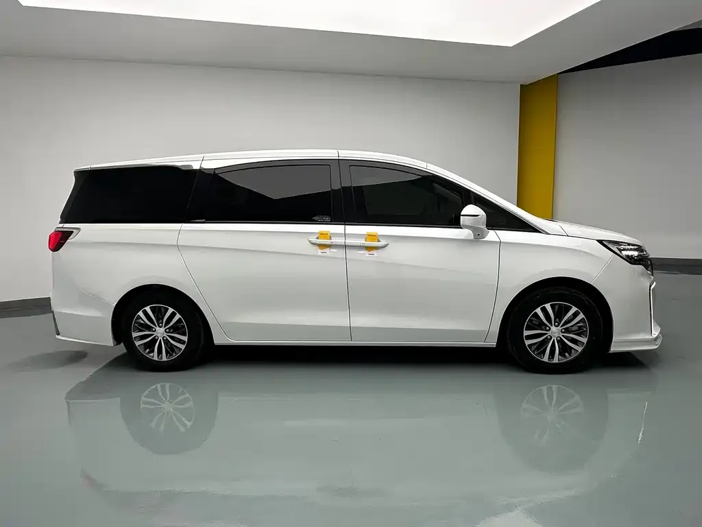 Buick GL8 2021 из CN, фото 8
