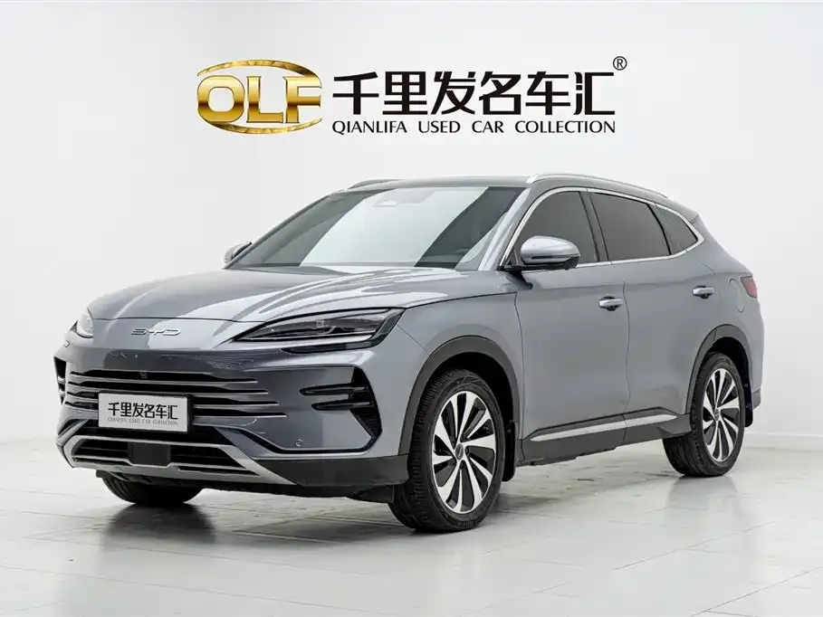 BYD PLUS New Energy — фото 1