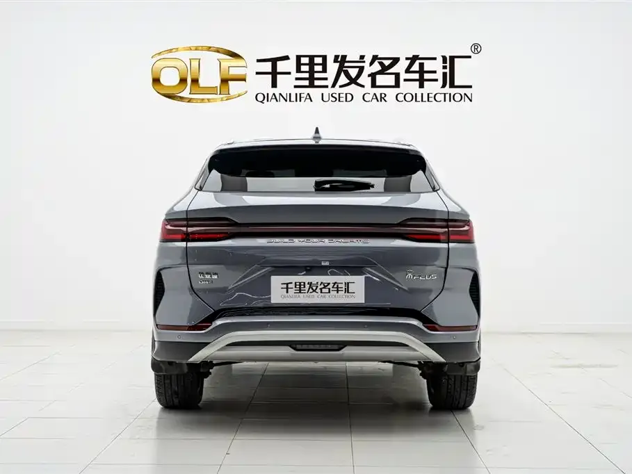 BYD PLUS New Energy — фото 5
