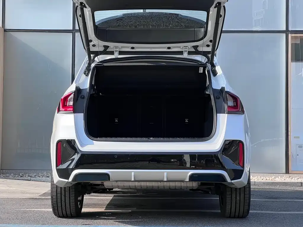 BMW X1 2024 из CN, фото 6