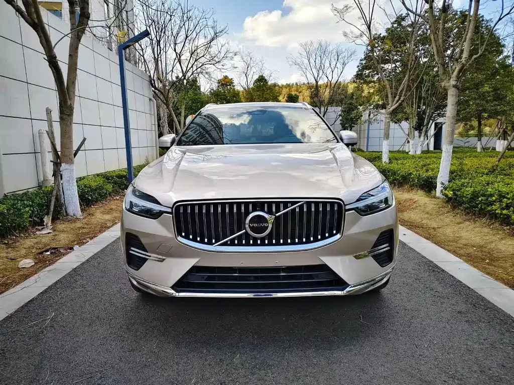Volvo XC60 2023 из CN, фото 2