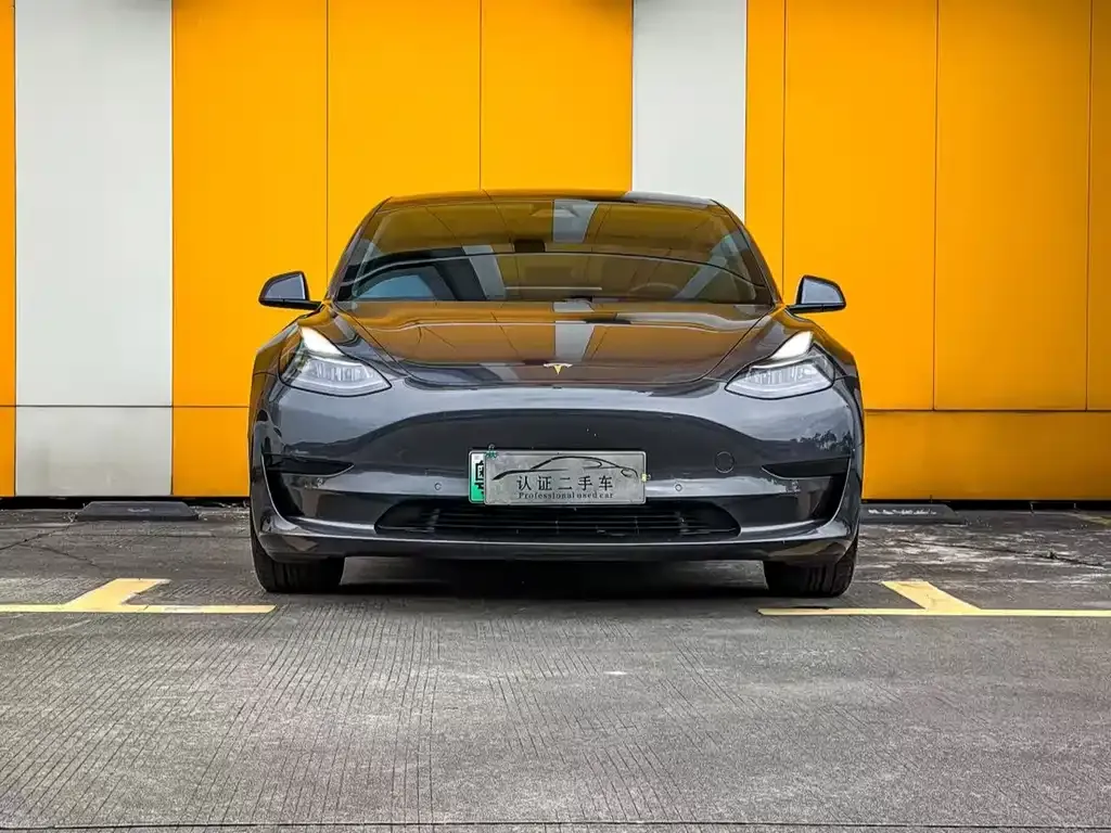 Tesla Model 3 2021 из CN, фото 2