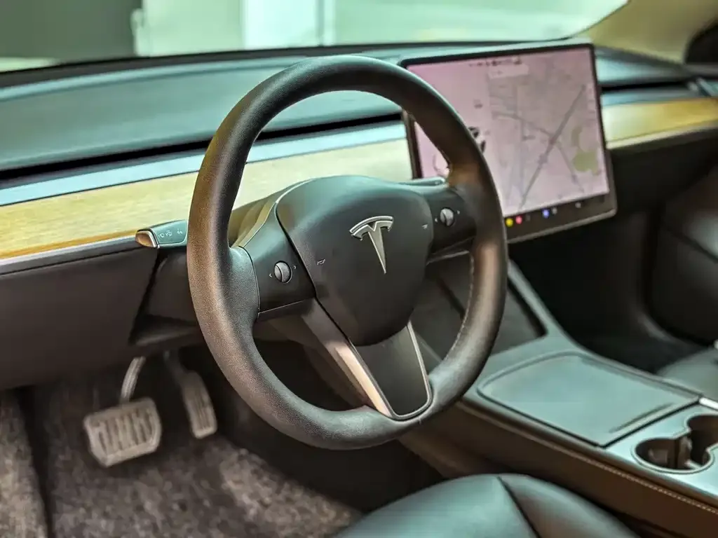 Tesla Model 3 2021 из CN, фото 4