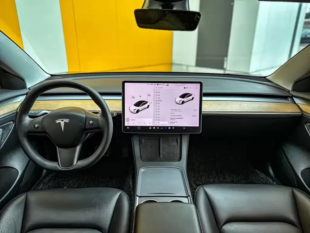 Tesla Model 3 2021 из CN, фото 5