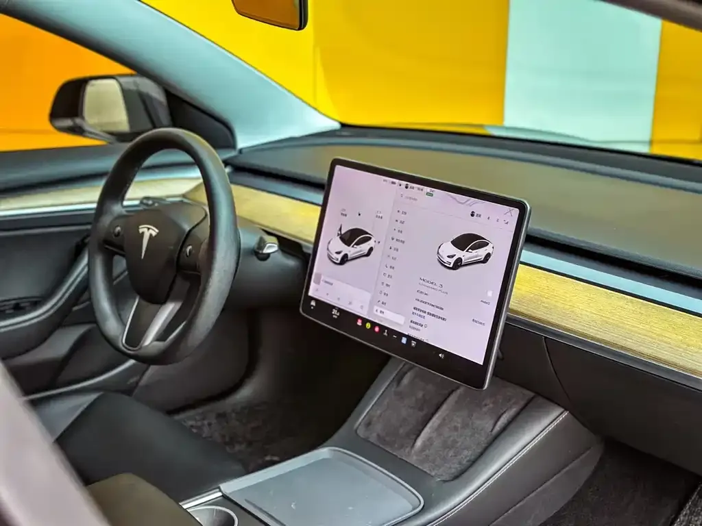 Tesla Model 3 2021 из CN, фото 6