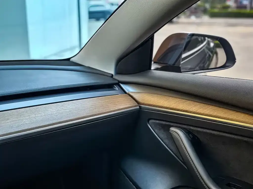 Tesla Model 3 2021 из CN, фото 7