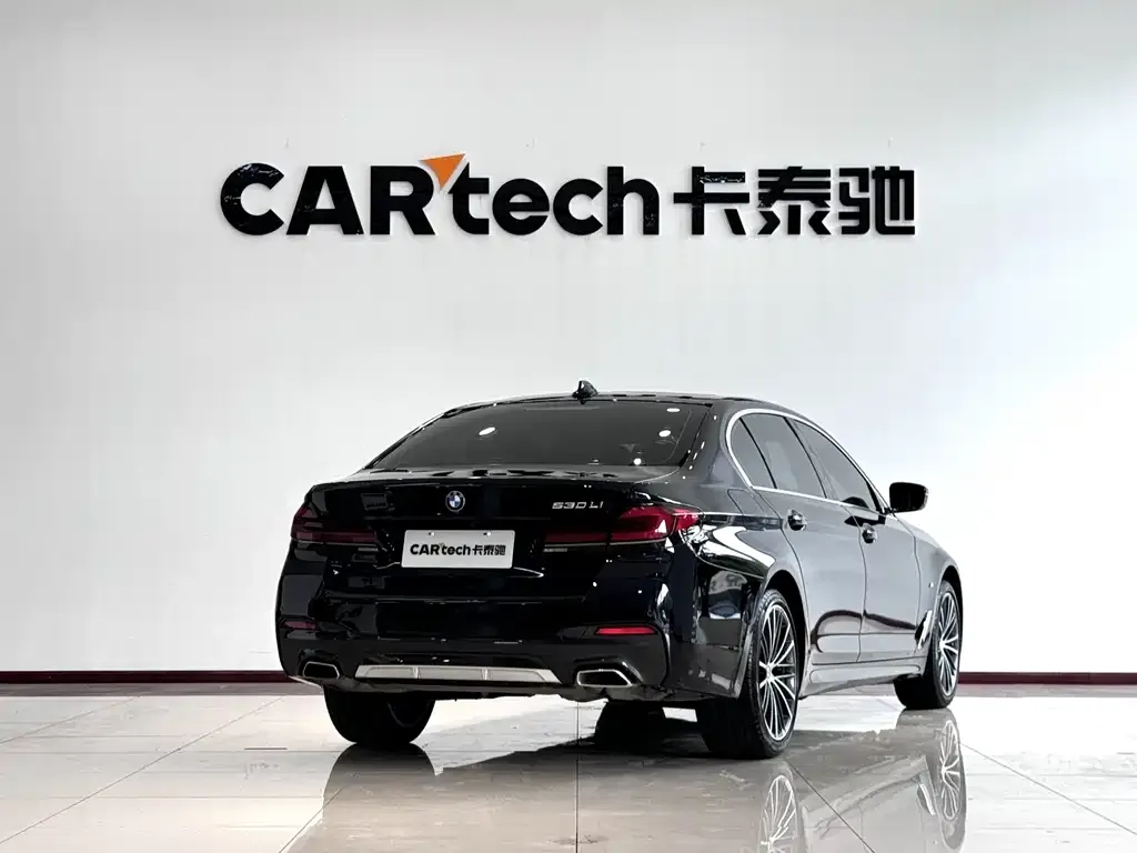 BMW 5 Series 2023 из CN, фото 6