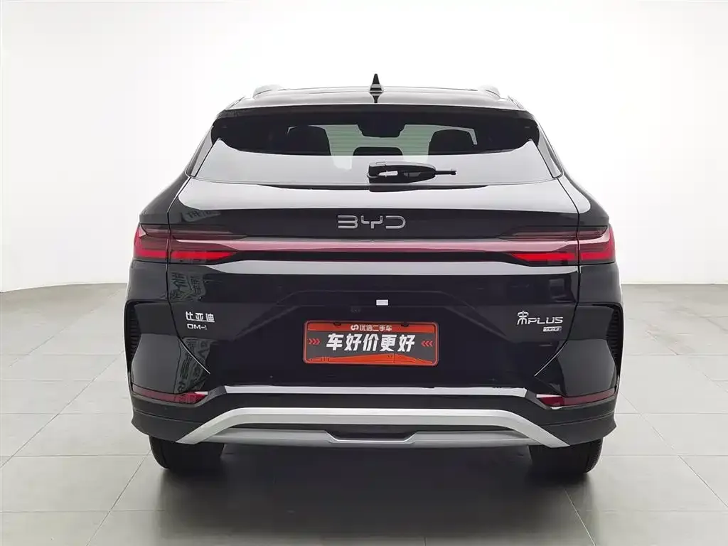 BYD PLUS New Energy 2025 из CN, фото 4