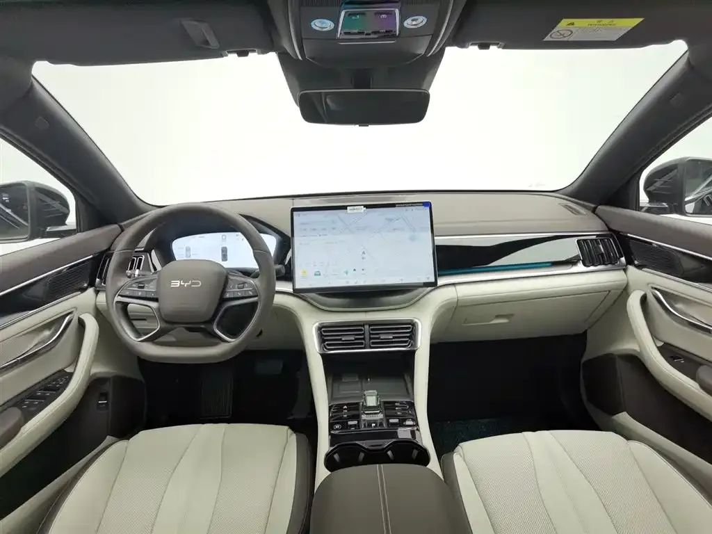 BYD PLUS New Energy 2025 из CN, фото 5