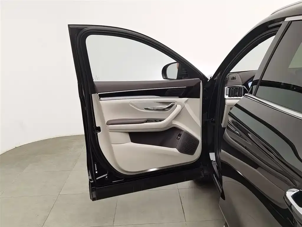 BYD PLUS New Energy 2025 из CN, фото 8