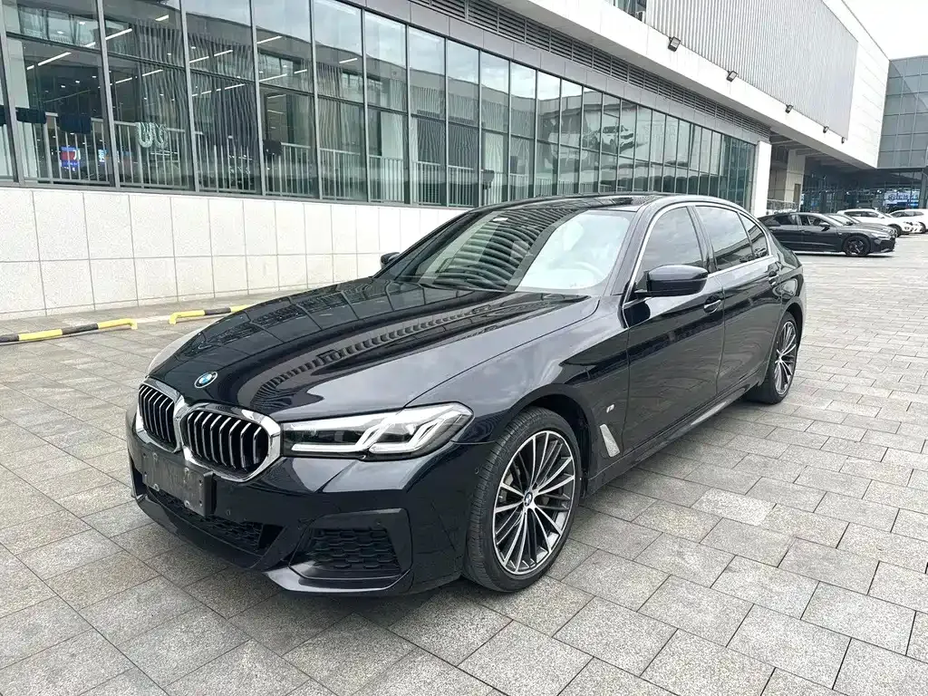 BMW 5 Series 2021 из CN, фото 1