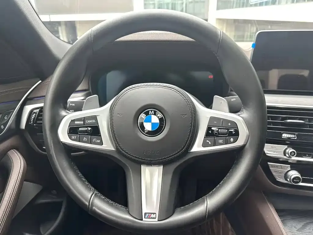 BMW 5 Series 2021 из CN, фото 10