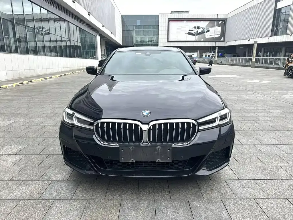 BMW 5 Series 2021 из CN, фото 2