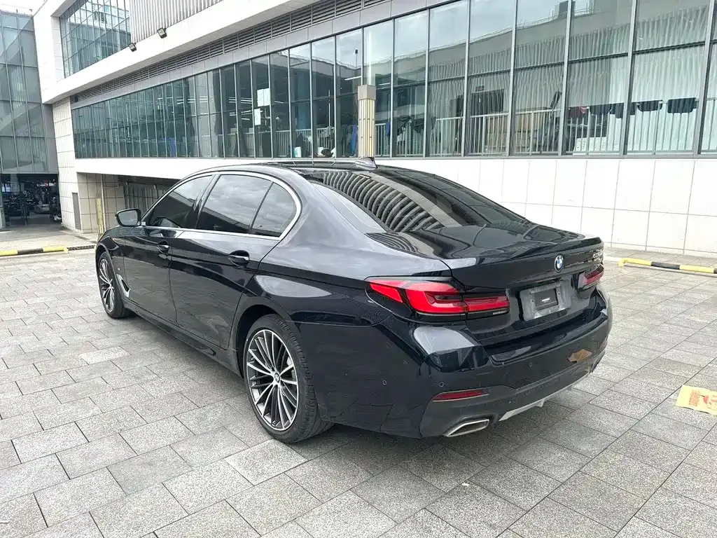 BMW 5 Series 2021 из CN, фото 4