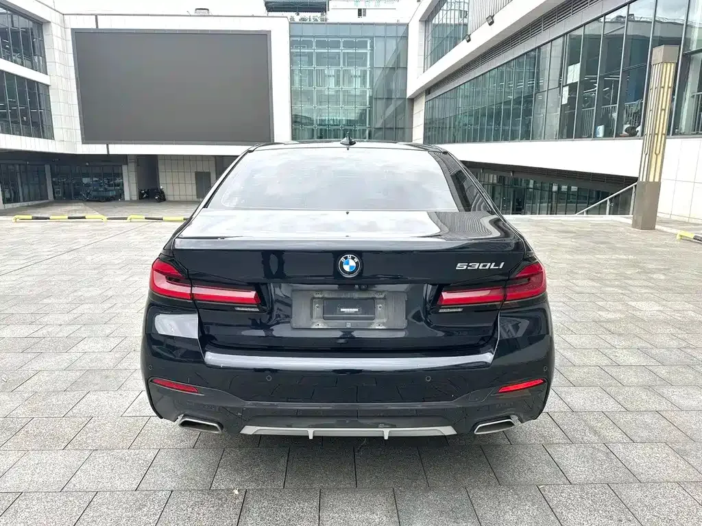 BMW 5 Series 2021 из CN, фото 5