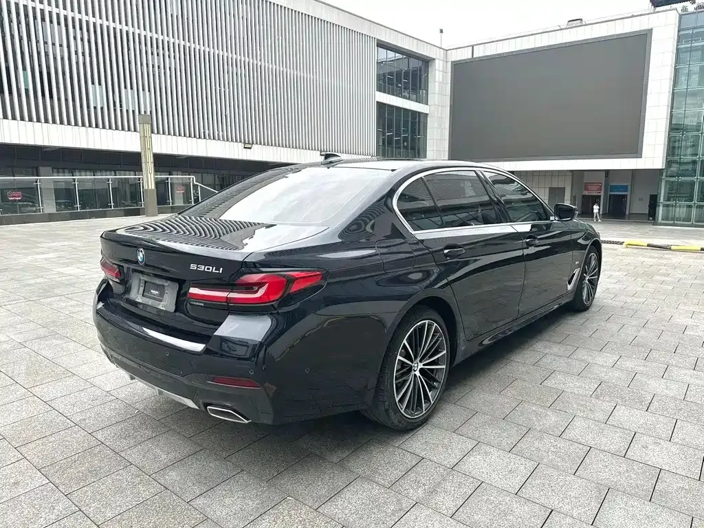 BMW 5 Series 2021 из CN, фото 6
