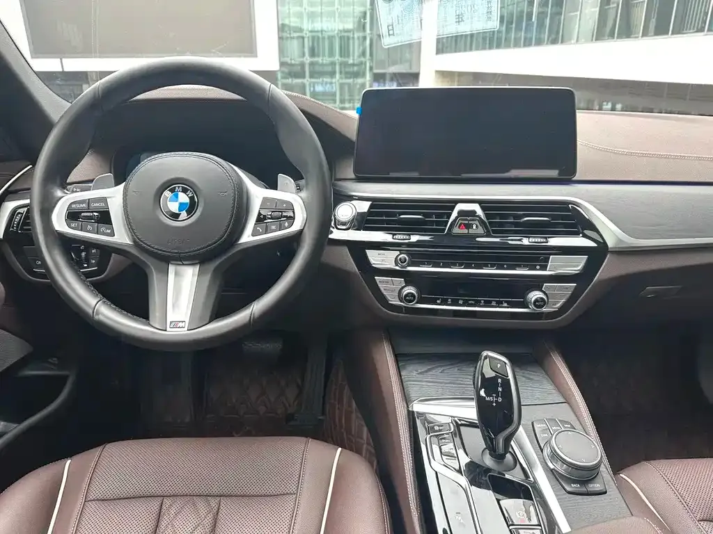BMW 5 Series 2021 из CN, фото 8