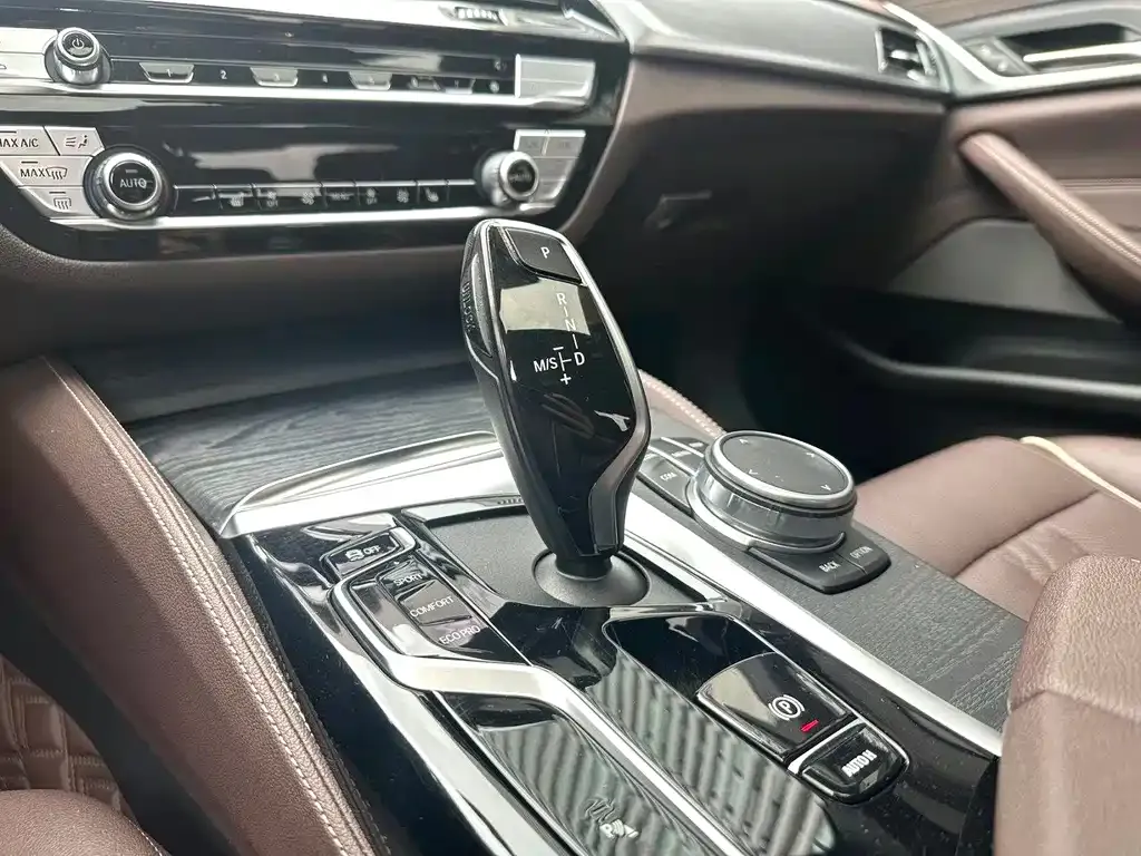 BMW 5 Series 2021 из CN, фото 9