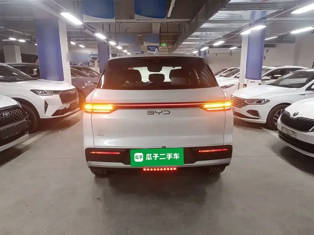 BYD Pro New Energy — фото 6