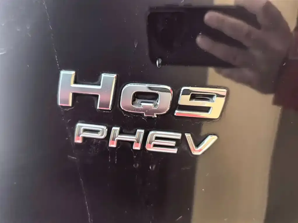 Hongqi HQ9 PHEV 2024 из CN, фото 9