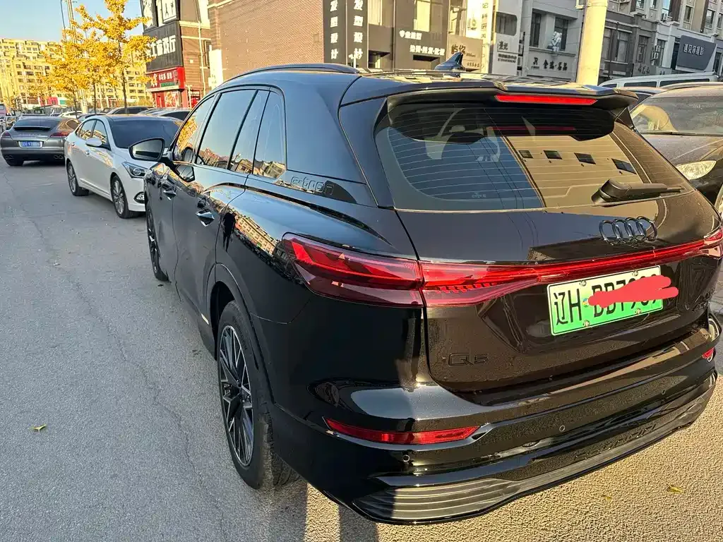 Audi Q5 e-tron 2024 из CN, фото 4