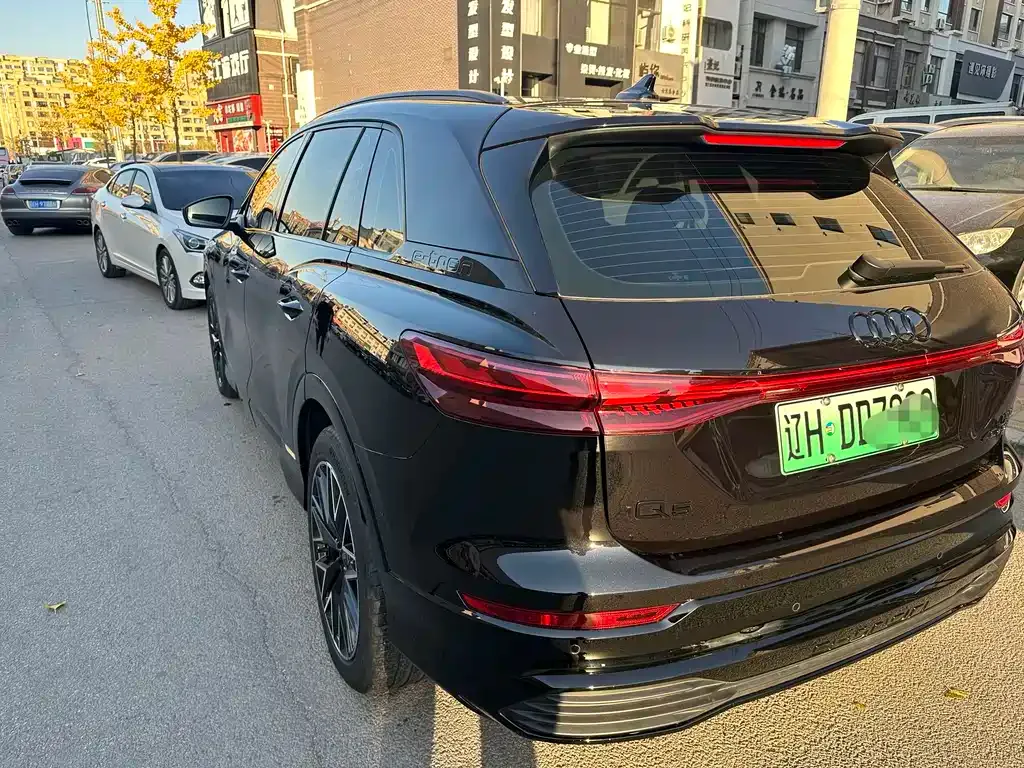 Audi Q5 e-tron 2024 из CN, фото 7
