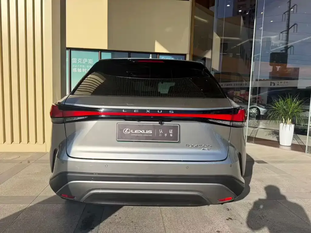 Lexus RX New Energy 2024 из CN, фото 10