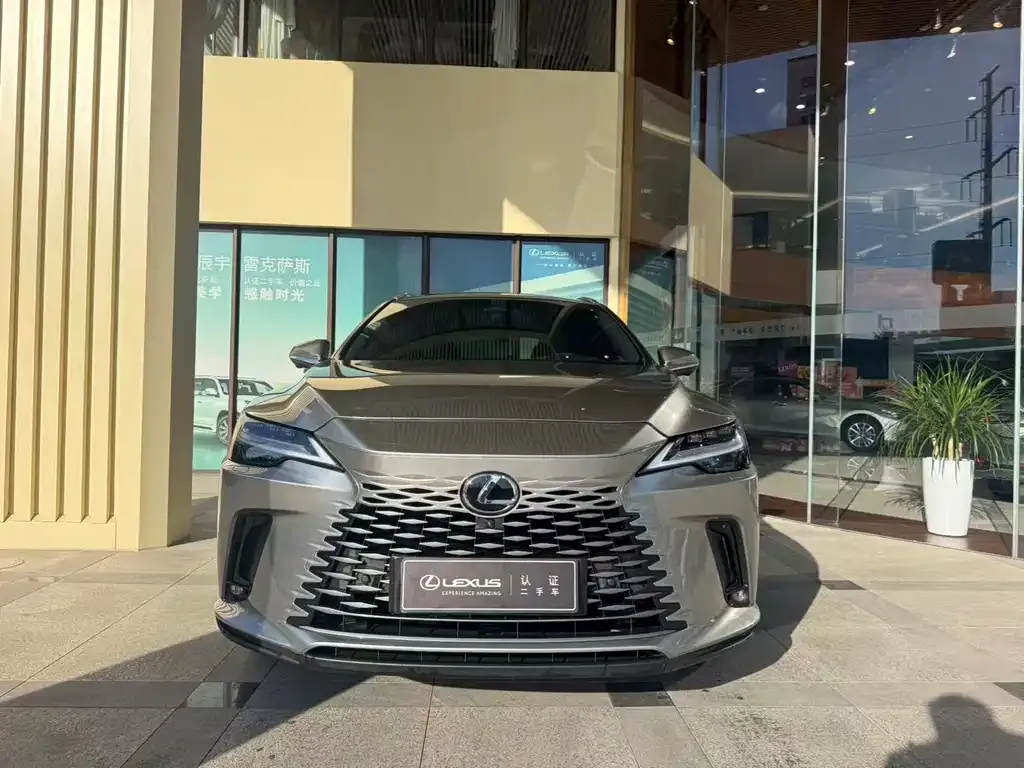 Lexus RX New Energy 2024 из CN, фото 2