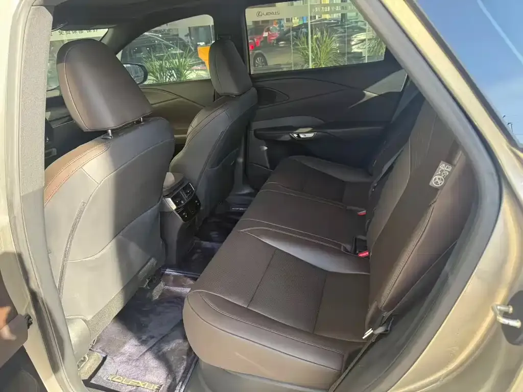 Lexus RX New Energy 2024 из CN, фото 5