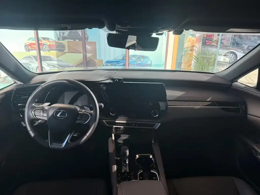 Lexus RX New Energy 2024 из CN, фото 8