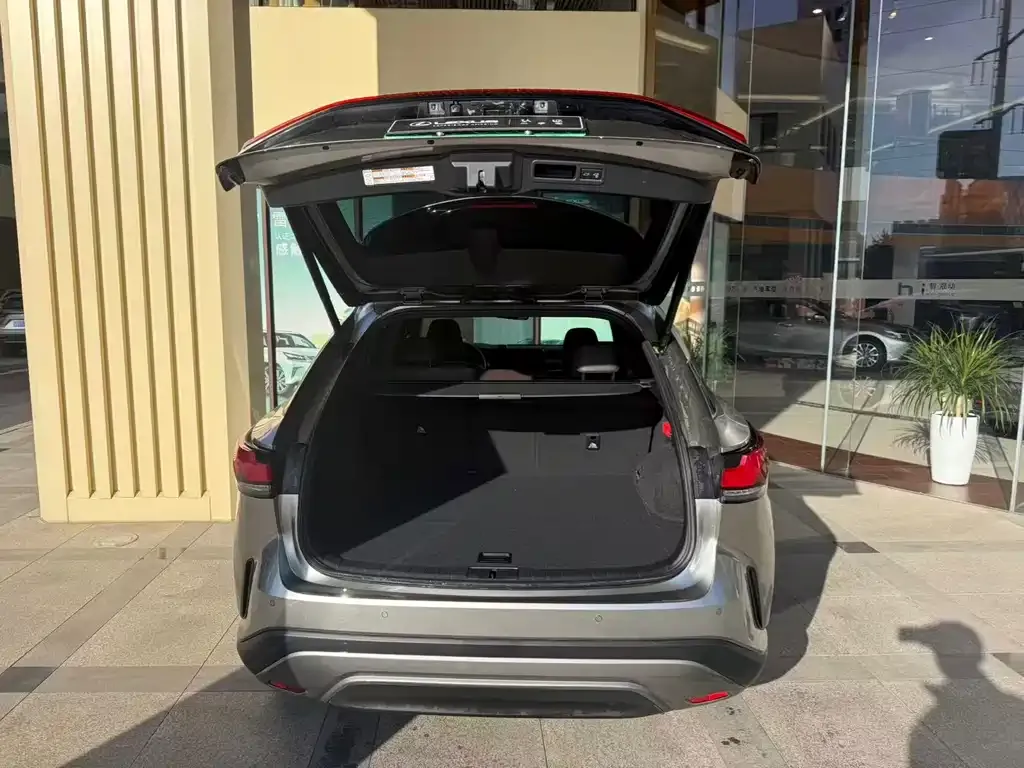 Lexus RX New Energy 2024 из CN, фото 9