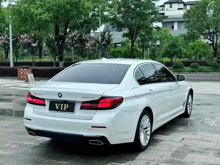 BMW 5 Series 2021 из CN, фото 10