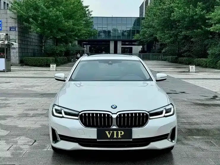BMW 5 Series 2021 из CN, фото 2