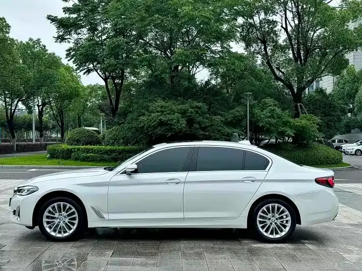 BMW 5 Series 2021 из CN, фото 3