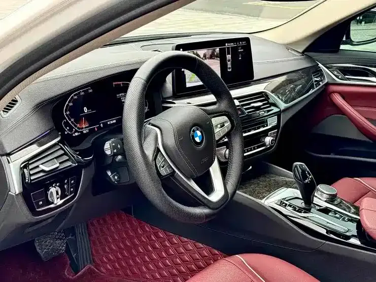 BMW 5 Series 2021 из CN, фото 4